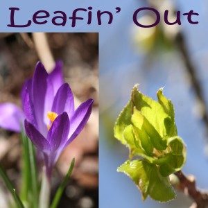 leafin out copy